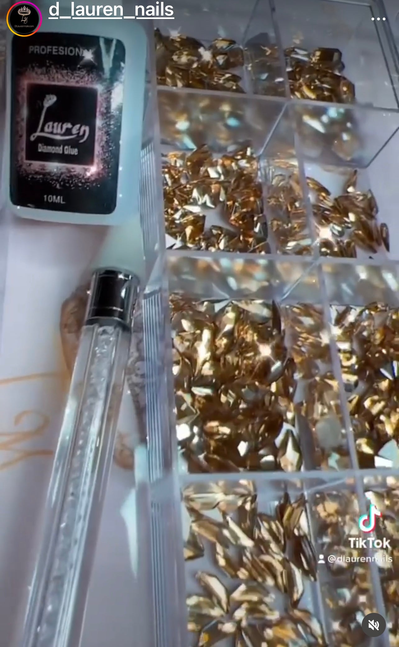 Champán K9 Caja de Cristal #1